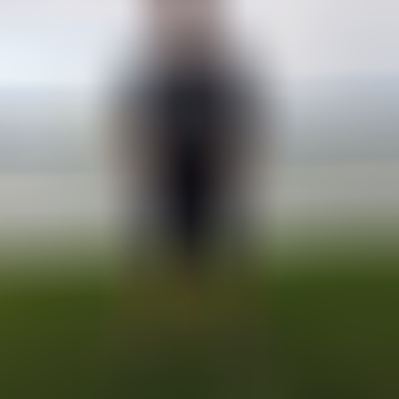 Balázs, 42 éves társkereső 2. fotója (Diósviszló, 4466677)