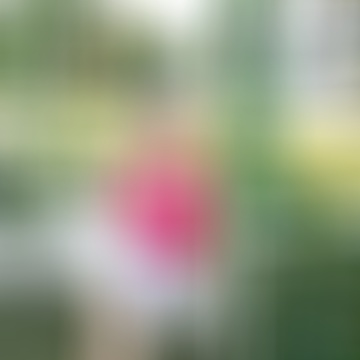 Ilona, 72 éves társkereső 10. fotója (Edelény, 4075078)