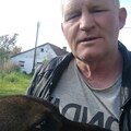 Tibor, 52 éves társkereső 3. fotója (Katymár, 4781678)