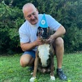 Balázs, 49 éves társkereső 3. fotója (Budapest, XVI., 4241579)