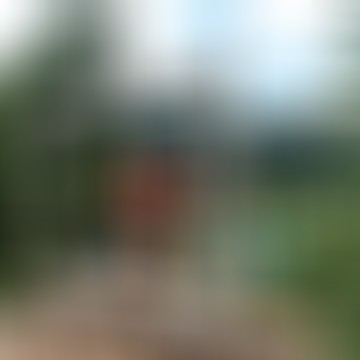 Pál, 57 éves társkereső 4. fotója (Pécs, 3849380)