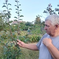 Zsolt, 51 éves társkereső profilképe (Lenti, 4651480)