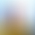 Imre, 56 éves társkereső 3. fotója (Hajdúböszörmény, 3652080)