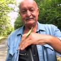 Miklós, 72 éves társkereső 5. fotója (Budapest, XIX., 4228381)
