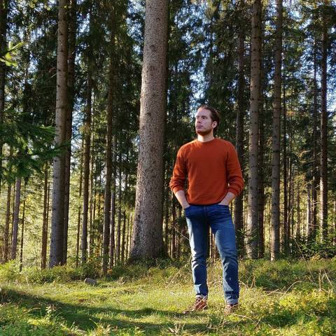 Patrik, 32 éves társkereső profilképe (Székesfehérvár, 3852281)