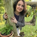 Mónika, 47 éves társkereső 3. fotója (Vanyarc, 4754882)