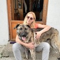 Krisz, 54 éves társkereső 6. fotója (Budakeszi, 3317783)