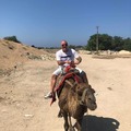 Norbi, 51 éves társkereső profilképe (Szeged, 4244784)