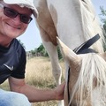 György, 47 éves társkereső profilképe (Törökbálint, 4452984)