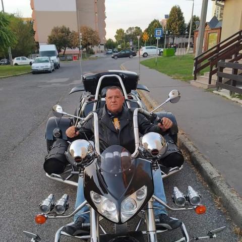 Gyuri, 65 éves társkereső profilképe (Pécs, 2839790)