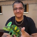 Imre, 59 éves társkereső 4. fotója (Budapest, XXI., 4738691)