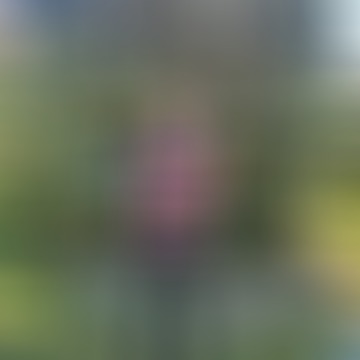 Toni, 70 éves társkereső 2. fotója (Székesfehérvár, 4005291)