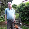 Józsi, 66 éves társkereső 4. fotója (Pécs, 4717092)