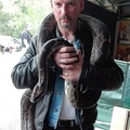 Attila, 43 éves társkereső 4. fotója (Győr, 3662492)