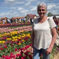 Anikó, 71 éves társkereső 2. fotója (Mezőkeresztes, 3738292)