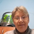 Margit, 62 éves társkereső 5. fotója (Görcsöny, 4153892)