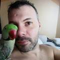 Ákos, 37 éves társkereső 3. fotója (Budapest, XIX., 4304992)