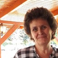 Erzsó, 61 éves társkereső 5. fotója (Sülysáp, 3944594)