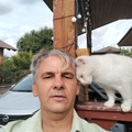 Zsolt, 55 éves társkereső 5. fotója (Tököl, 4777694)