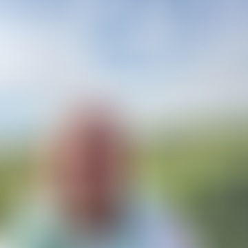 Zsolt, 51 éves társkereső 4. fotója (Kismarton (Burgenland, Ausztria), 4773996)