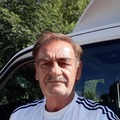 Béla, 64 éves társkereső 3. fotója (Székesfehérvár, 4098298)