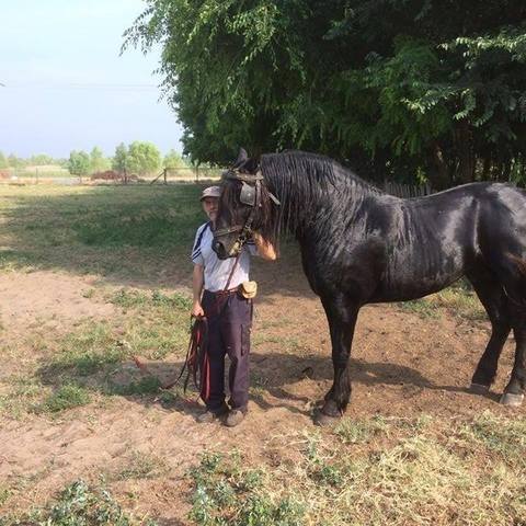 farm társkereső nő keres találkozó