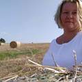 Judit, 52 éves társkereső 2. fotója (Budaörs, 4099199)