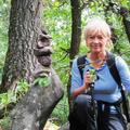 Zsuzsa, 76 éves társkereső 4. fotója (Dunaújváros, 3568599)