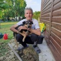 Dezső, 56 éves társkereső profilképe (Tiszasziget, 4520999)